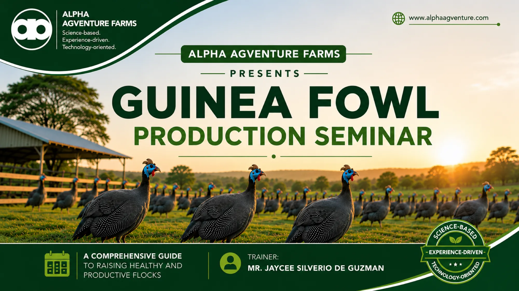 Guinea Fowl Farming by Jaycee de Guzman of Alpha Agventure Farms